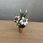 百合　ミニテラコッタ鉢　5