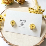 ひまわりミニラウンド縁ゴールド🌻イヤリング／ピアス