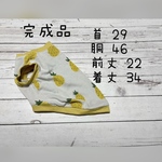 犬服『完成品　🍍パイナップル　タンクトップ』セール