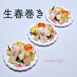 《ラストです》海老と野菜たっぷり生春巻き