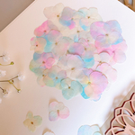 【押し花素材】着色　紫陽花　シャボン玉カラー　　pressed flowers