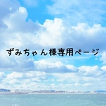 《ずみちゃん様専用ページ》