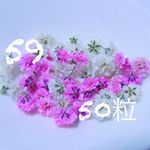 59かすみ草♡ドライフラワー