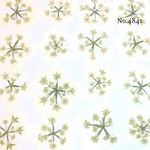 ♡new♡作家様必見♡ 可愛いオルレアお花がいっぱい♡ 押し花セット
