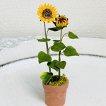ミニチュアフラワー　ひまわり鉢植え　2本