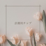 【計測用チップ】