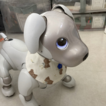 森のクマさんセット(カフェマットとスタイ)　AI aibo's cafe mat & bib 中綿入り(Pink)