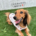 こむ＆きんちゃん専用です♡♡