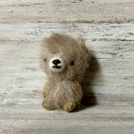 小さいクマ　薄茶7