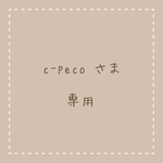 専用ページ