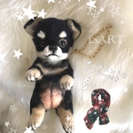 ☆チャーム☆ぶらたんちわわ❤️