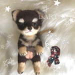 ☆チャーム☆ちょこたんちわわ❤️