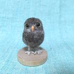 【scoppe様専用】フクロウのひなた君