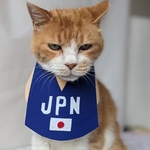 オリンピックニャーブルー