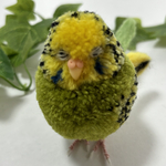 ウトウト眠いセキセイインコちゃん　ぽんぽんインコ　小鳥　bird ぬいぐるみ