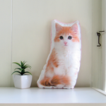 犬　猫　ペット　動物　ノルウェージャン　クッション　ぬいぐるみ　インテリア　メモリアル　プレゼント　オーダーメイド　画像　写真　フワモコB-c
