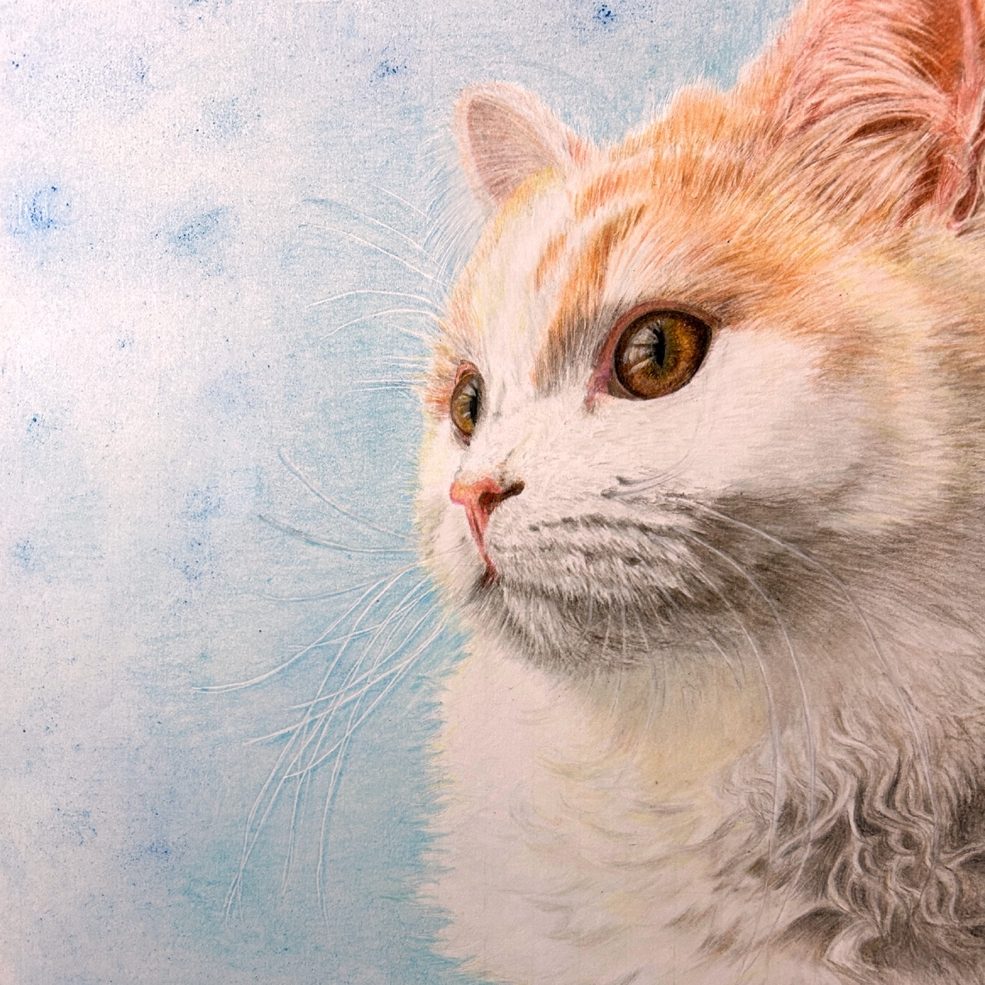 オーダーメイドねこの絵 うちの子アート ペット似顔絵 ねこ