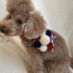 パリジェンヌ🇫🇷ハット(M)