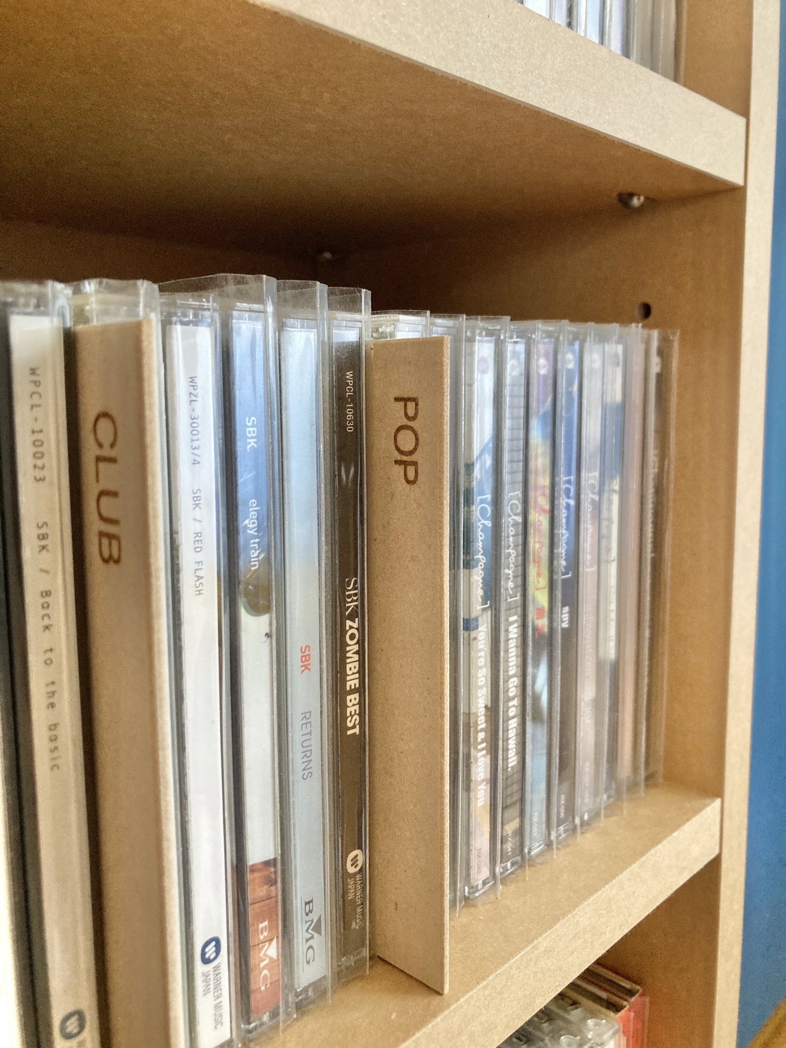 木製 CDインデックスプレート (CD仕切板) ジャンル POP 1枚