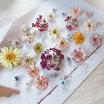 可愛い過ぎ✨ドライフラワー 🌸花材 詰め合わせ限定セット❣️小花 ／画像のお花をお入れしています／カラフルMIX／キャンドル ハーバリウム、レジン アクセサリーなどに