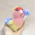 チア💕インコ【コザクラ～ゴールデンチェリー～】