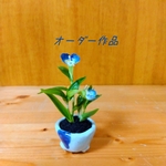 露草 神秘的な青紫色 大空に飛翔しそうな横顔はガーモービヨーンとペリカンさん  手作り白光鉢 創作盆栽  樹脂粘土アート