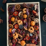 Specimen box " Coffret d'automne " ガラスケース 植物標本 標本箱 ハロウィン かぼちゃ 秋
