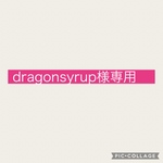 dragonsyrup様専用