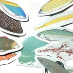 魚のメッセージレター<南国の魚>