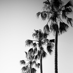 再送料、オプション代