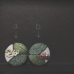 le cocon〜puchi  可愛いお花の刺繍ブローチ・ヘアゴム。