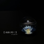 【水面に咲く】直径25mm