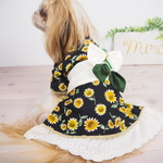 犬用浴衣  ひまわり  黒色  綿レース  白リボン帯  犬浴衣  猫浴衣  ランマルシェ  ranmarche