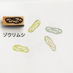 理科　ゾウリムシはんこ　消しゴムはんこ