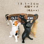 ⋆⸜🍧⸝⋆夏得セール⋆✦黒猫🐈‍⬛♬.*ﾟ 18.5-26cm
