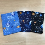 ラスト1枚❗️W55×35cm ランチョンマット 水色 ゆめかわ 白鳥 ペガサス ユニコーン  女の子 小学校