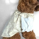 犬服 オーダー可 フリル衿ブラウス  パフスリーブ 男女兼用ブラウス