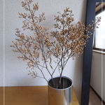 ドライフラワー 南天 枝 男前 シャビー ブロカント アンティーク
