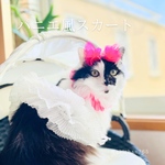  ペット用パニエ風スカート（コスプレ、ハロウィン、犬、猫）
