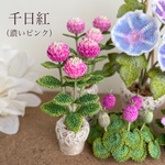 受注制作 飾って楽しむ千日紅（濃いピンク）センニチコウ