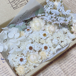 ドライフラワー 花材 たっぷり ホワイト系セット
