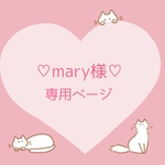 ♡mary様 専用ページ♡