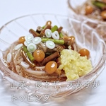 『ラスト』ひんやり冷たい山菜そば