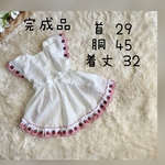 犬服『完成品　🍓いちごレースワンピース』