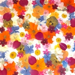♡new♡作家様必見♡押し花MIXセット♡押し花セット