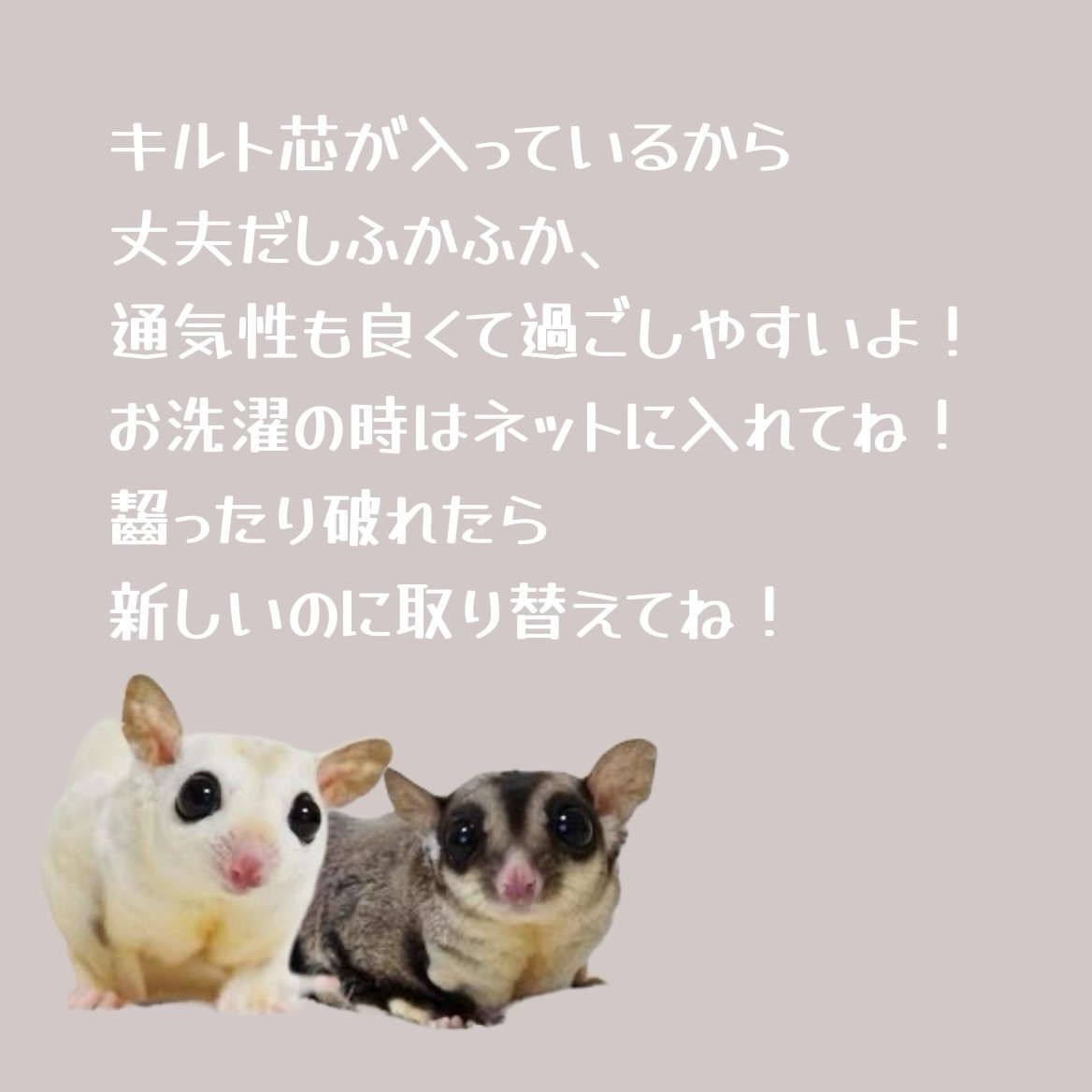 フクロモモンガポーチ 2〜3匹タイプ ポーチ型 - animals shop
