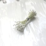 薔薇ペップ 小 ひわ軸 白