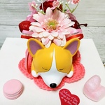 ホッコリコーギー&シュナちゃん🐶💕フラワー
