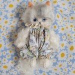 bo-ro ぬいぐるみ159 ペルシャ猫