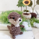 嘘をつかないカワウソくん